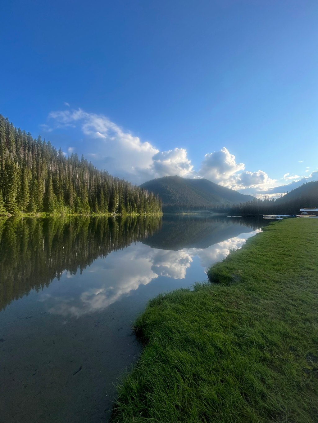 Spring Allergies in Fraser Valley (BC): Why I Suddenly Developed Pollen&nbsp;Allergies